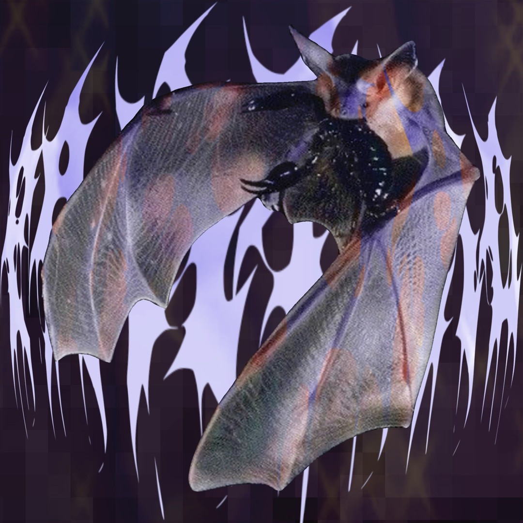 blues for bats