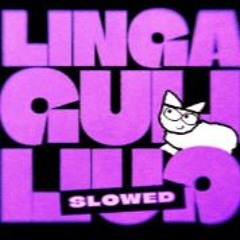 Zachz Winner - linga guli guli (Slowed)