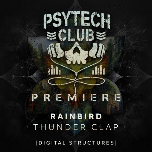 PREMIERE: Rainbird - Thunder Clap [Digital Structures]