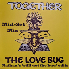 Together - The love bug (Nathan's still got the bug (midset) mix)