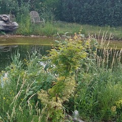 EgealFly123.miaaa.321