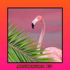 MANDRAGORA EP