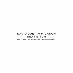 David Guetta Ft. Akon - Sexy Bitch (Yas Cepeda & DJ Tommy Rose Remix) FREE DOWNLOAD