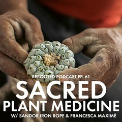 Sacred Plant Medicine with Sandor Iron Rope - ReRooted – Ep. 61