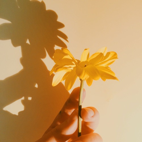 Do I Need A Reason Cover