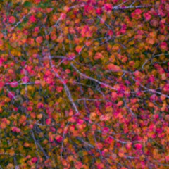 Hard Workout  (A Technoid Drone Journey)