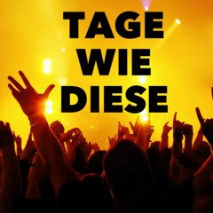AN TAGEN WIE DIESEN feat Die Toten Hosen Remix