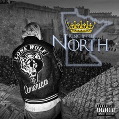 The King In The North