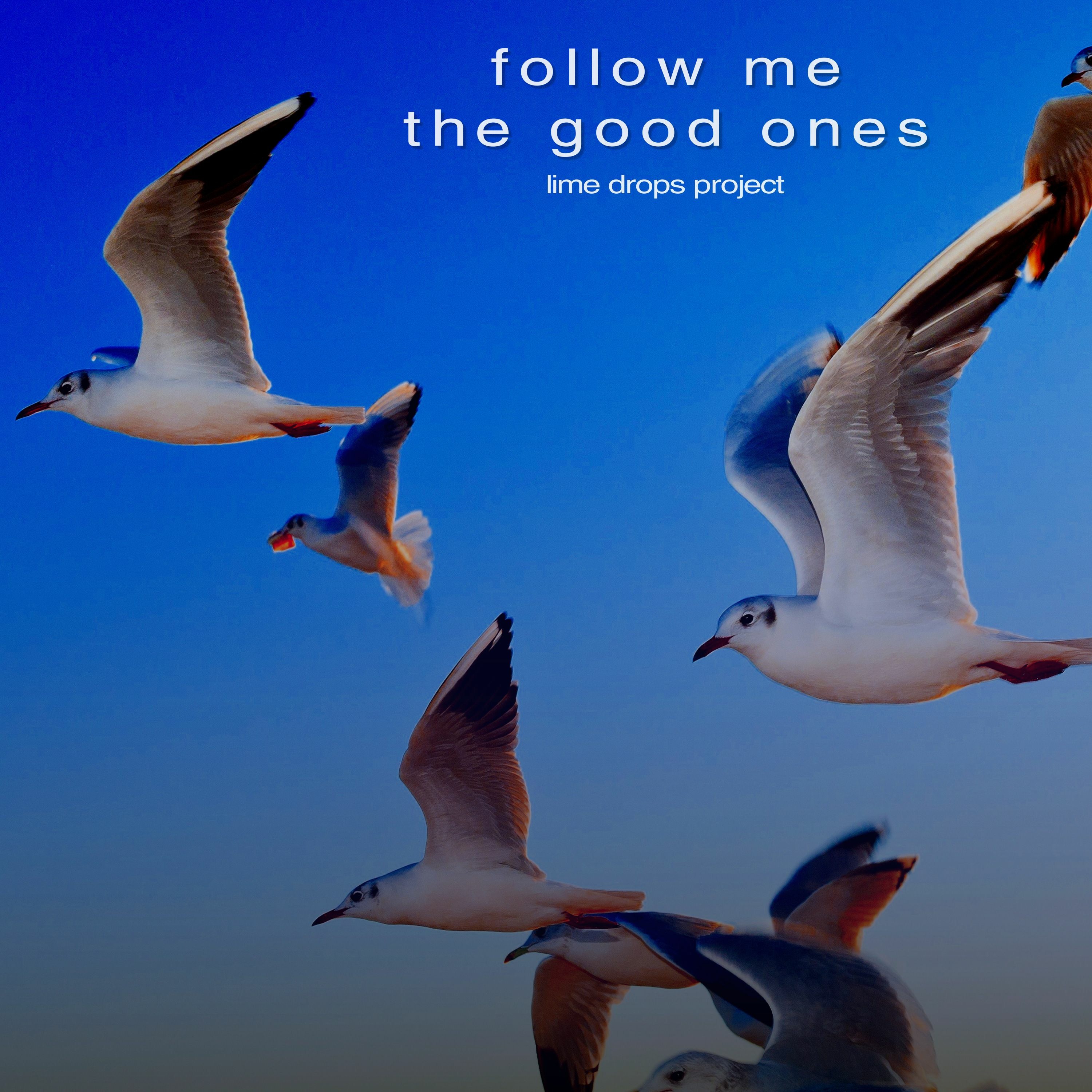 Follow Me The Good Ones