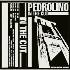 PREMIERE || Pedrolino - In The Cut || [Northern Industrial Movement]