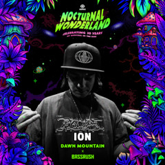 ION Live @ Nocturnal Wonderland 2025