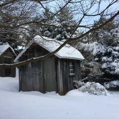 Sick And Tired - 50/90 Skirmish Song