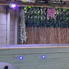 BBQ Vibes
