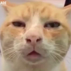 抖音又一首摇头洗脑神曲【Piu Piu Piu】- 拼音师