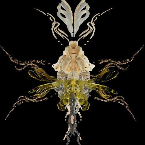 Signals Festival 2022 mixtape