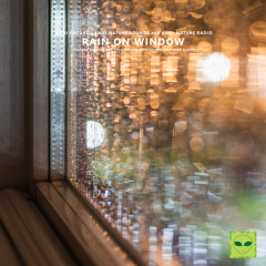 Mindfulness Window Ticking Rain Sounds