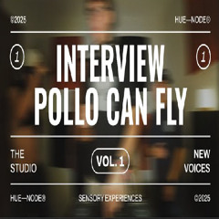 INTERVIEW w/ pollo.can.fly · HUE-NODE