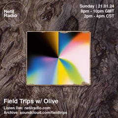 Field Trips  - Downtempo Electronica w/ Olive