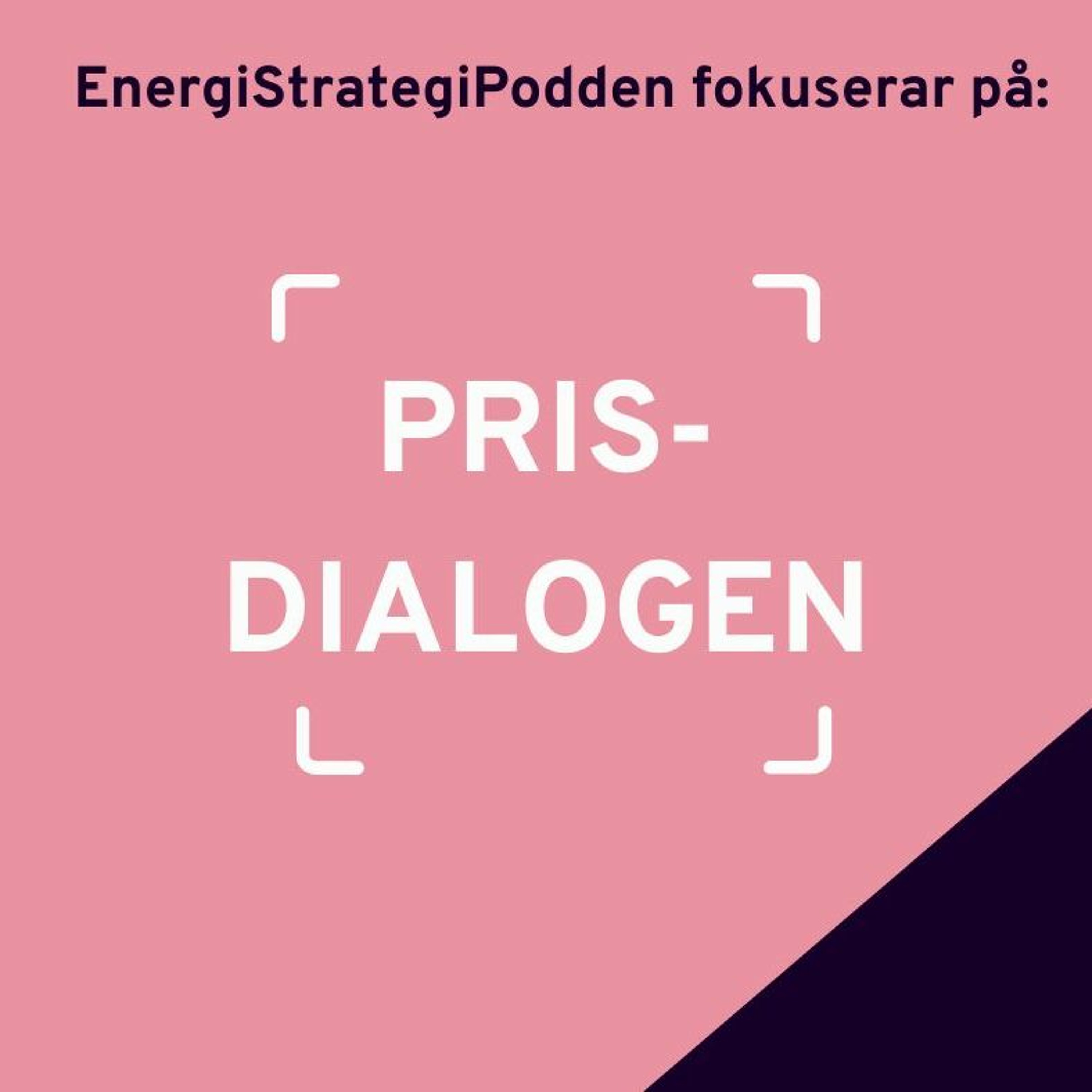 Energistrategipodden