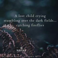 Stumbling over the dark fields [naviarhaiku373]
