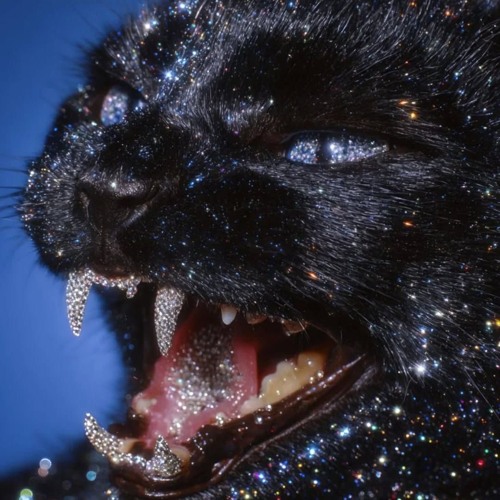 JUST CLEARED [SAME TIME!]