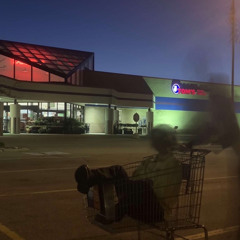 i was all over her - salvia palth