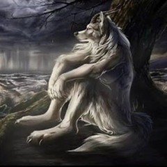 tuong tu hoa thanh que