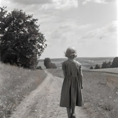 Beyond The Fields - Original Soundtrack - Book One