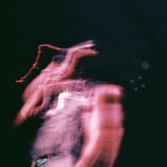 Fly