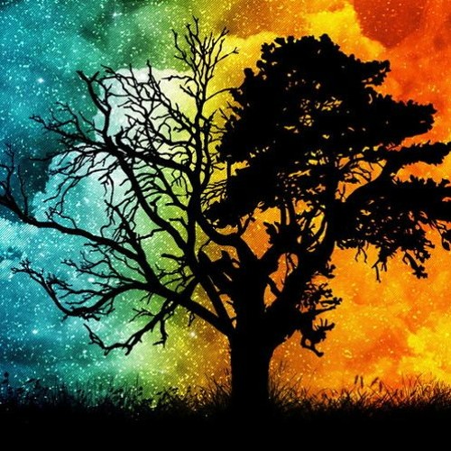 Osmosis - tree & heart tricks