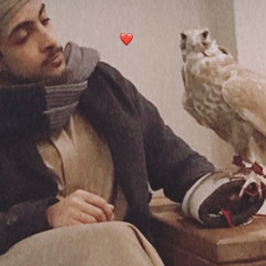 ايـام حـبـك - الـشـاعـر ثـانـي بـن عـبـود