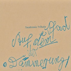 Auf Dem Pfad Der Dämmerung - Tocotronic Tribute
