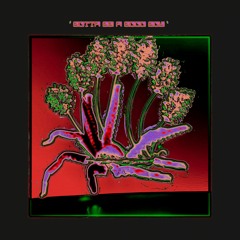 Siskins - Gotta Be a Good Boy