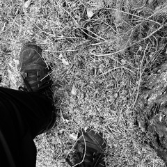 TREIBENDE SCHRITTE (2019)