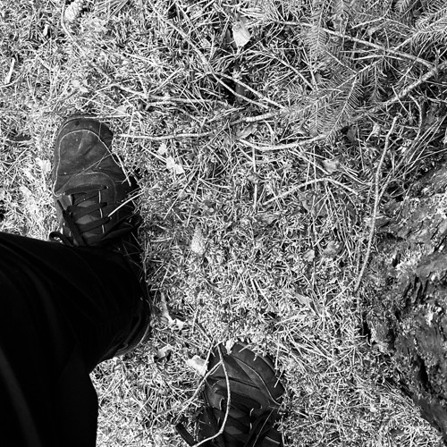 TREIBENDE SCHRITTE (2019)