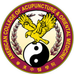 Teaching Acupuncture: An Interview with Dr. Gregory Sparkman