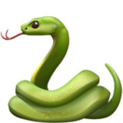 snake (1zhap) (1xjuliann)