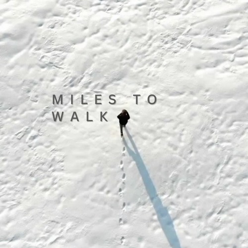 Miles To Walk - with Patrick Zelinski (feat. Ryan Dimmock and Roxane Genot on Violin and Cello)