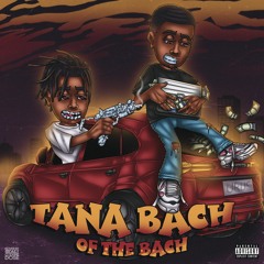 Go Ft Bachseatpapi & Lieko dinero