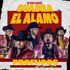 Arturo El De Culiacan (En Vivo)