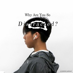 Why Are You So Distracted?