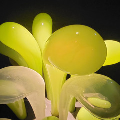 Fernes Licht - Nand (DJ Bongwasser Edit) FREE DL