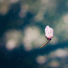 The Tragedy of Gravity