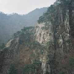 Drowse w/ máúcta 250124