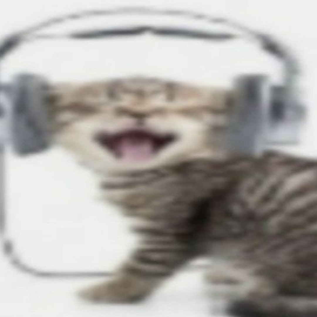 Мем с котом в наушниках