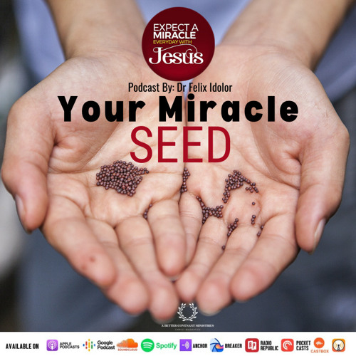 15 - Your Miracle Seed