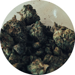 Kushmasters 25