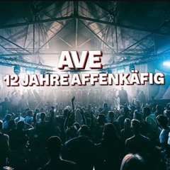 12 JAHRE AFFENKÄFIG, Essigfabrik Köln 14/09/2024