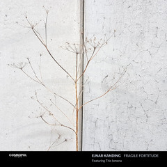 Fragile Fortitude 1 (feat. Trio Ismena)