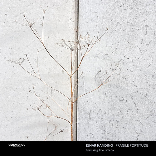Fragile Fortitude 1 (feat. Trio Ismena)